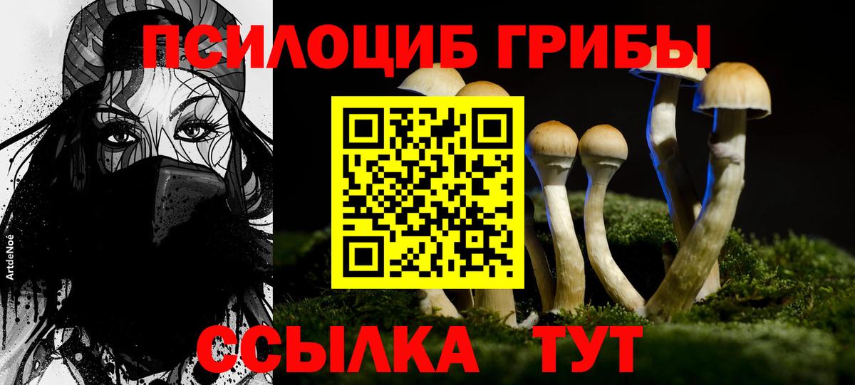 Екатеринбург  Псилоцибиновые грибы мицелий  Вход с VPN 